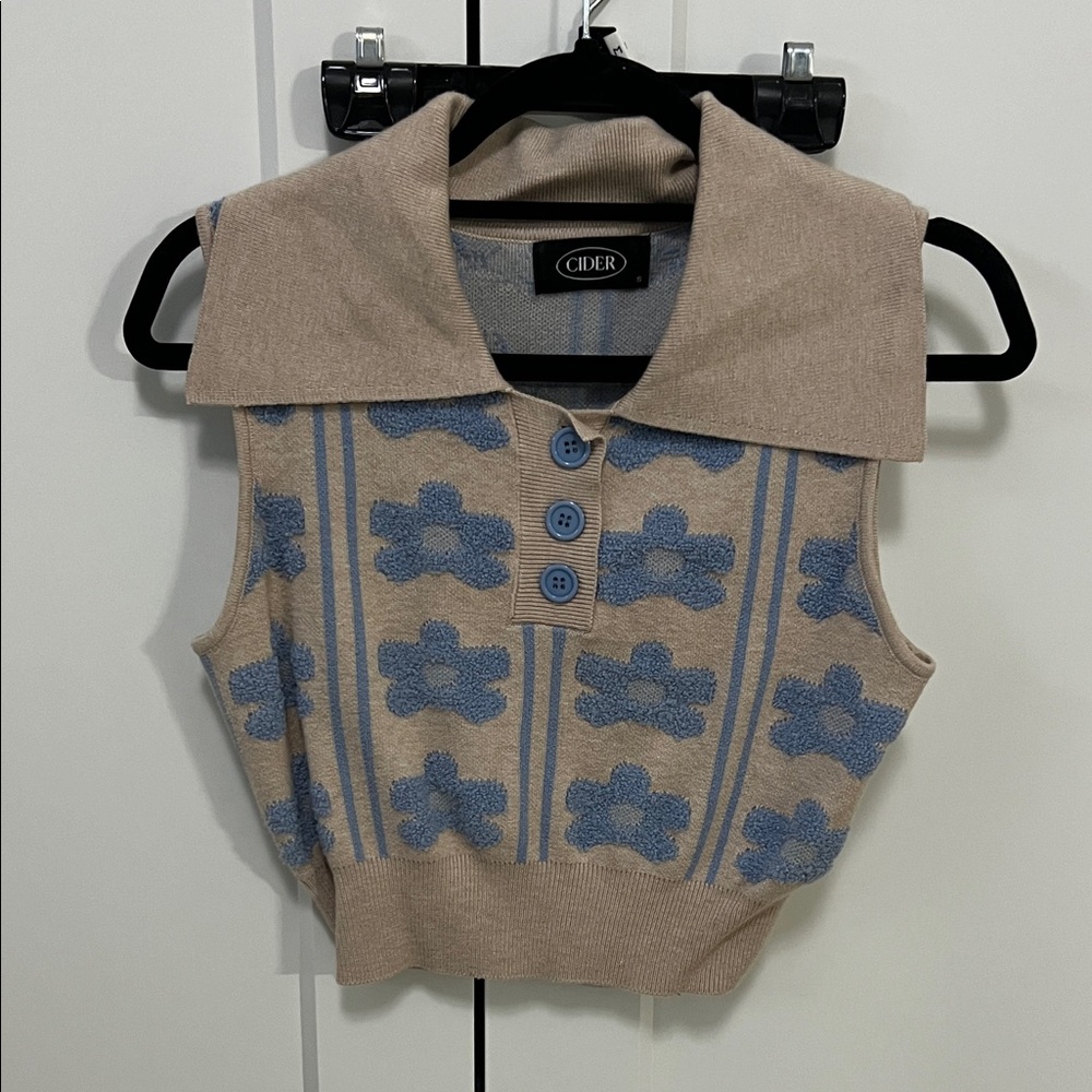 Cider Beige and Blue Patterned Knit Vest